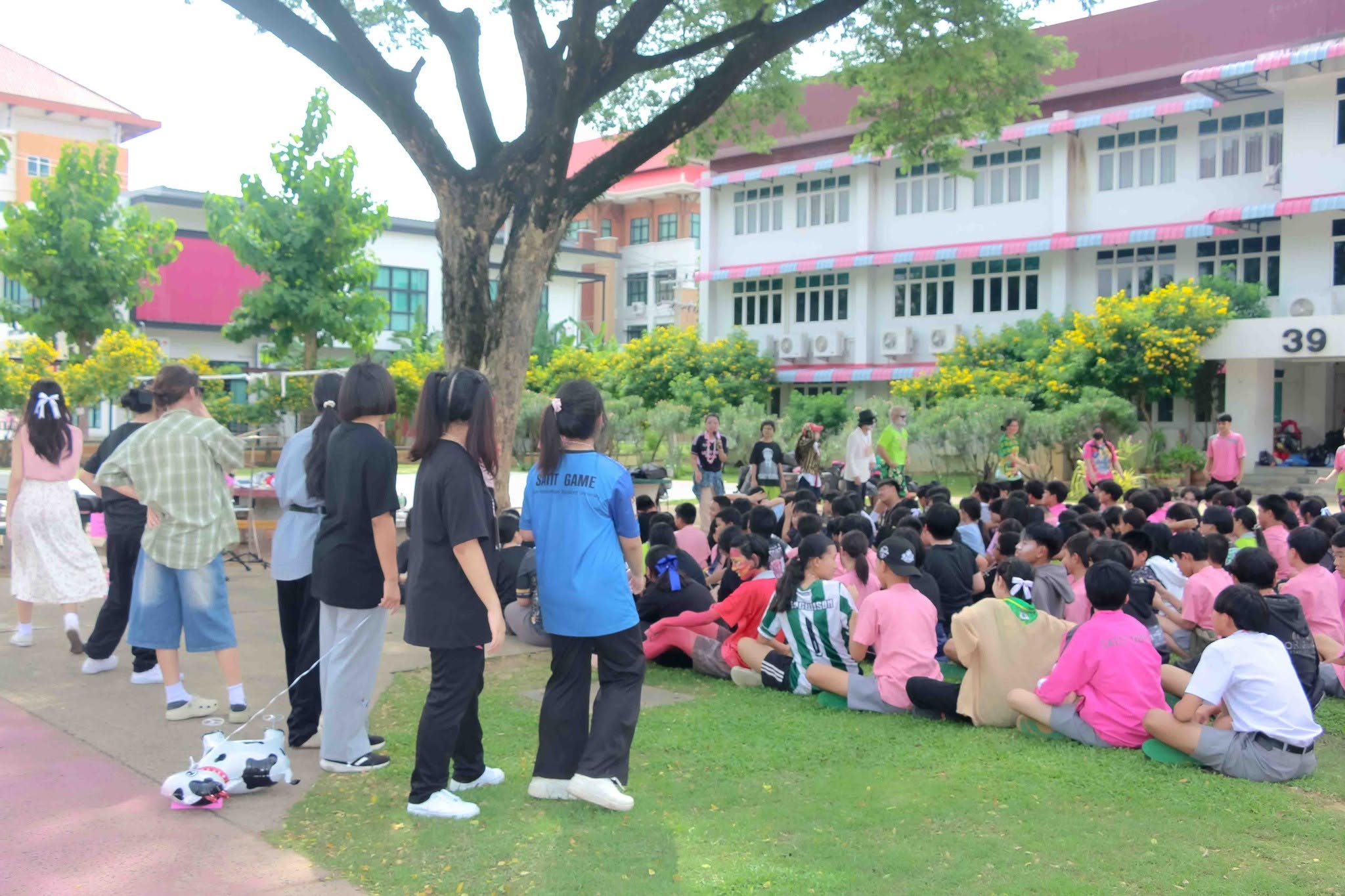 image12