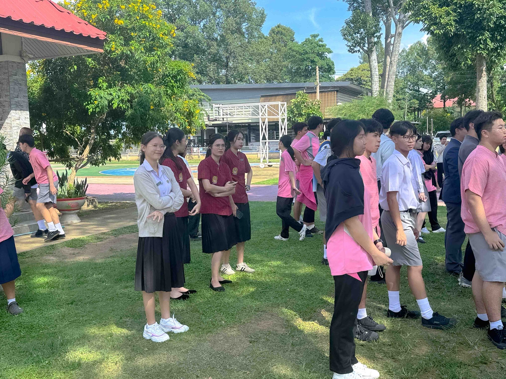 image10